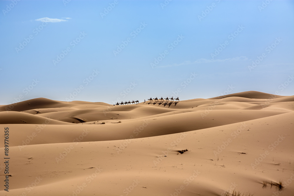 Karawana na pustynii Sahara, Wydmy Erg Chebbi.