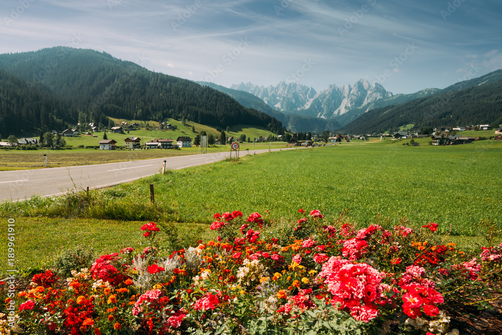 Highway in Gosau village at sunny day. Red flowers on foreground. Alps, Austria, Europe. Landscape p