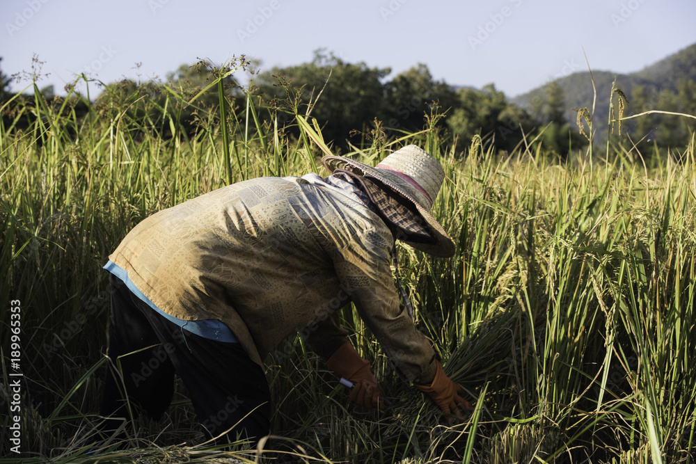 Travel Pictures North thailand, ANGELA MICHEL PHOTOGRAPHY