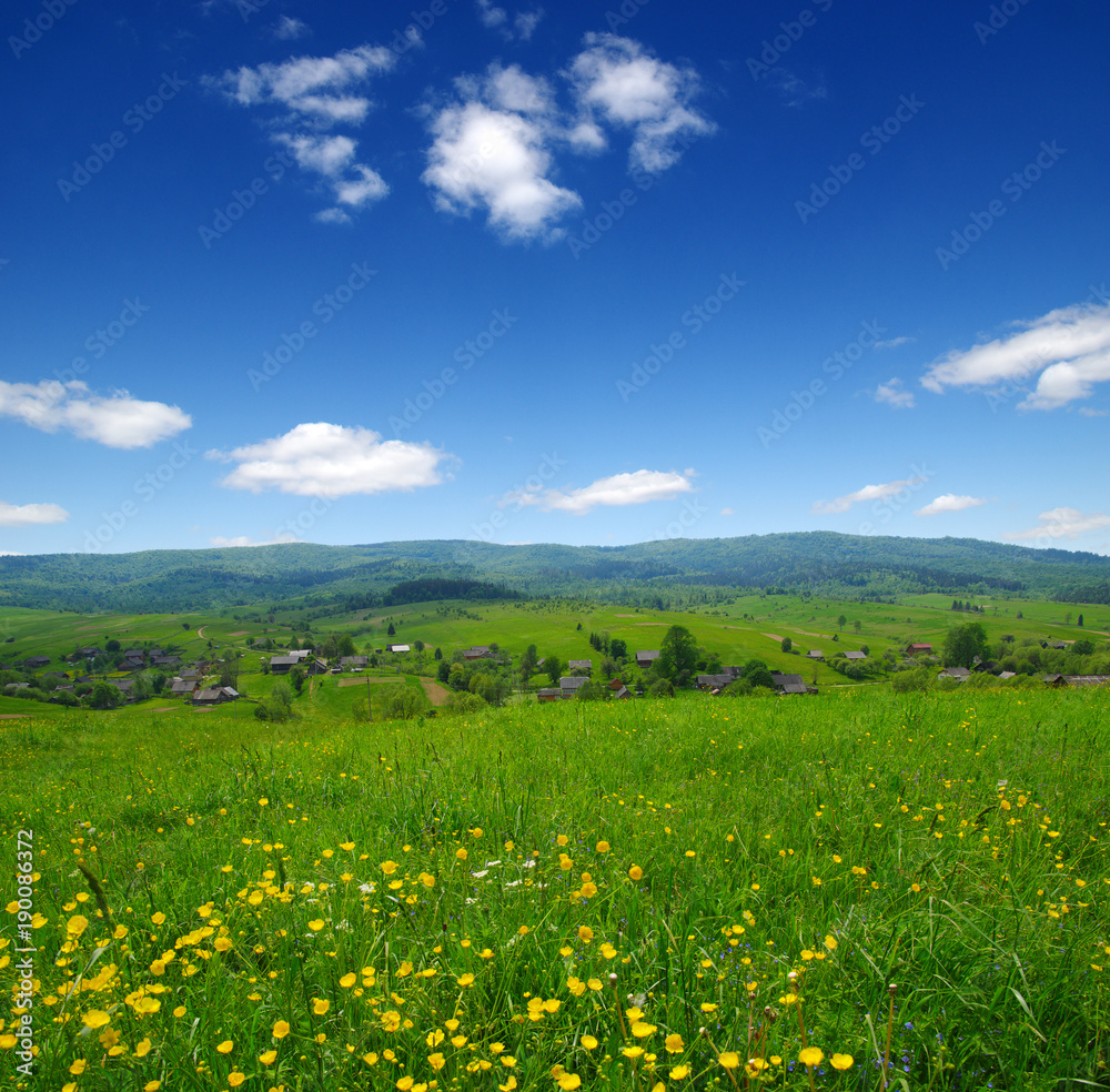 山地景观之夏