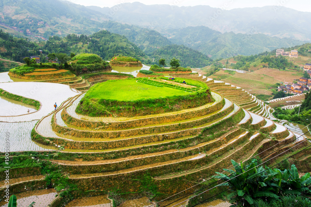 Terraced rice field stunning scenery