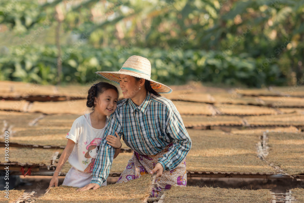 Mother and daughter harvest tobacco in the farmland at countryside.