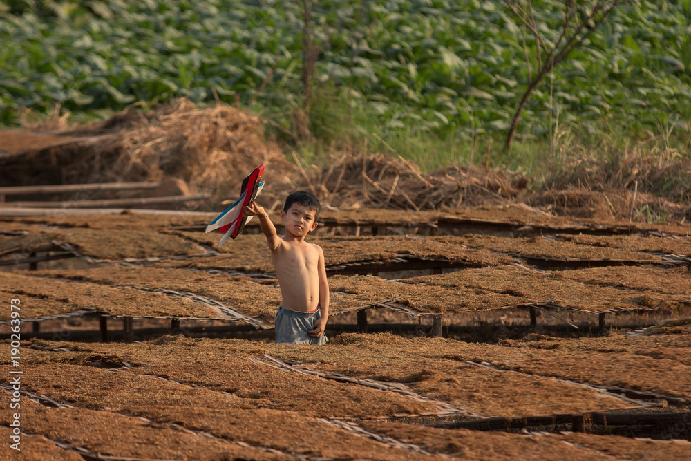 Children playing at the tobacco garden.Tobacco plant in garden of thailand.