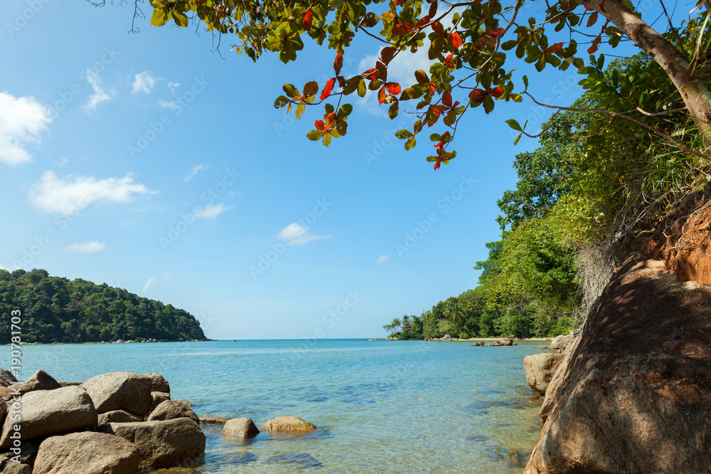 泰国普吉岛热带海洋和树叶的美丽风景。