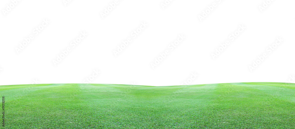 Green grass field on a white background.