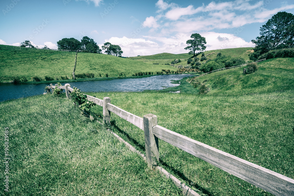 Green Grass Field in Countryside in Vintage Tone