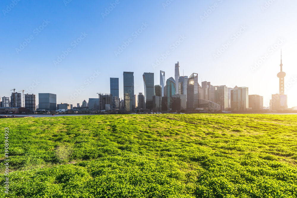 绿色草坪，城市全景