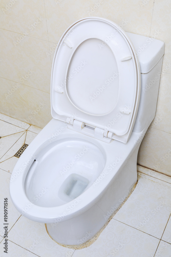 Flush toilet