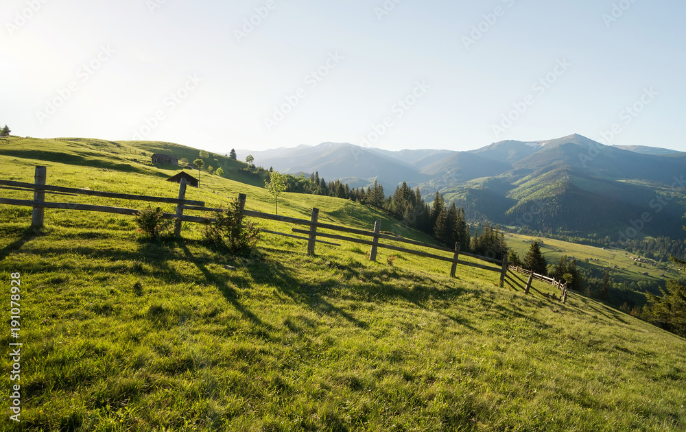 山丘上的栅栏。夏季美丽的自然景观