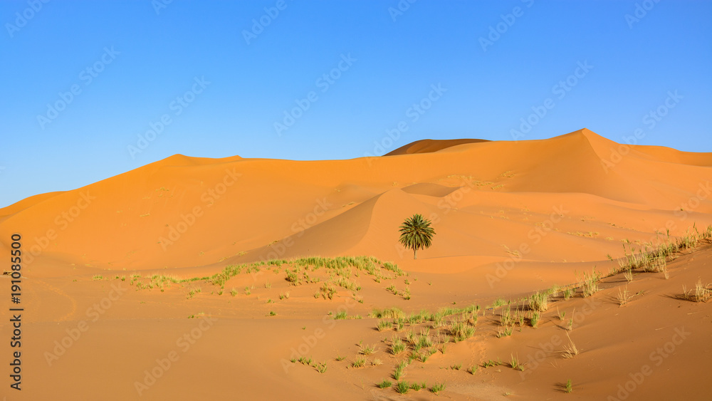 Wydmy Erg Chebbi，撒哈拉，Maroko