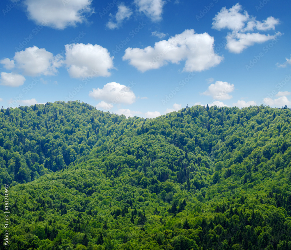 山地景观之夏