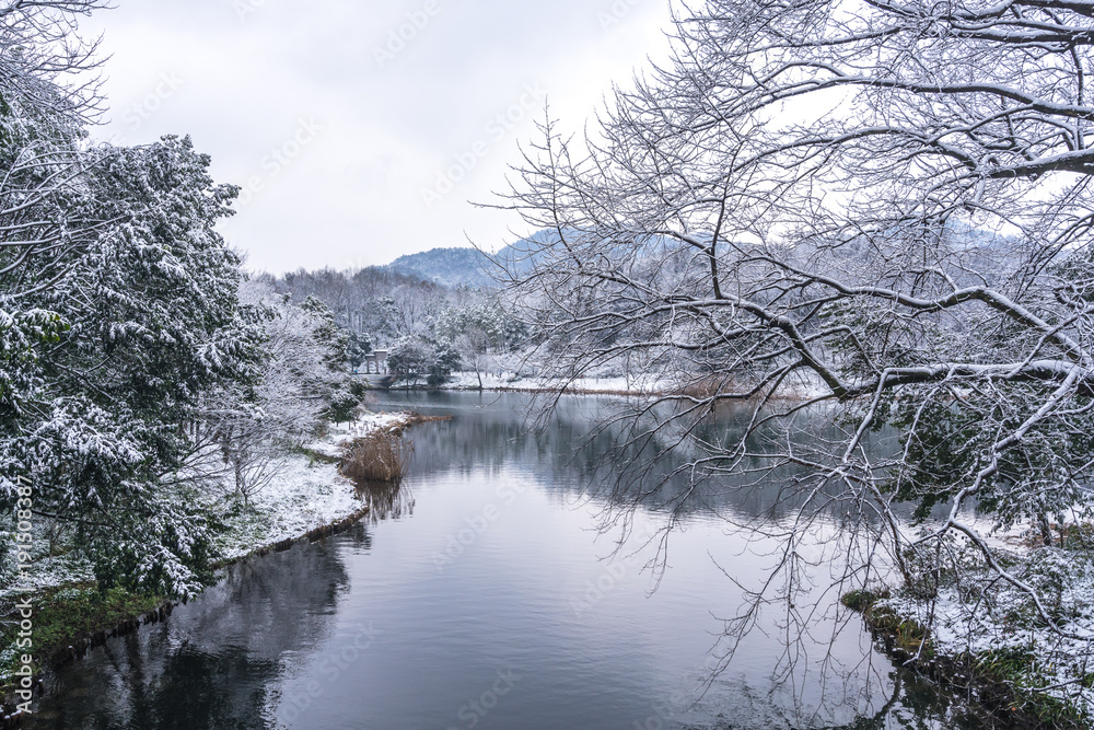 杭州西湖积雪