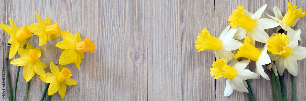 Daffodils flowers on wooden background 