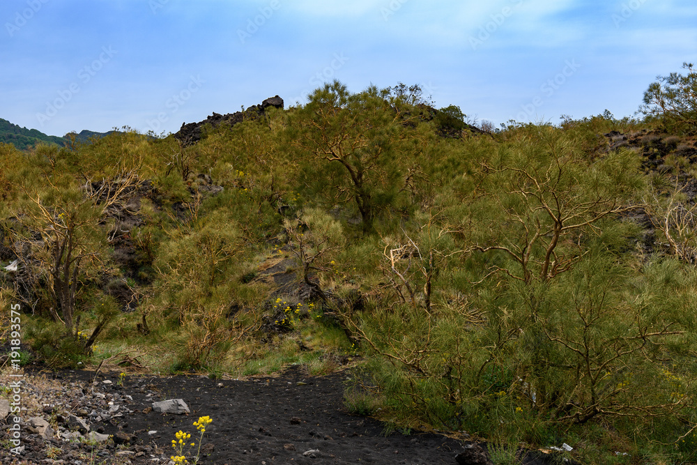 Etna, Sycylia, Włochy