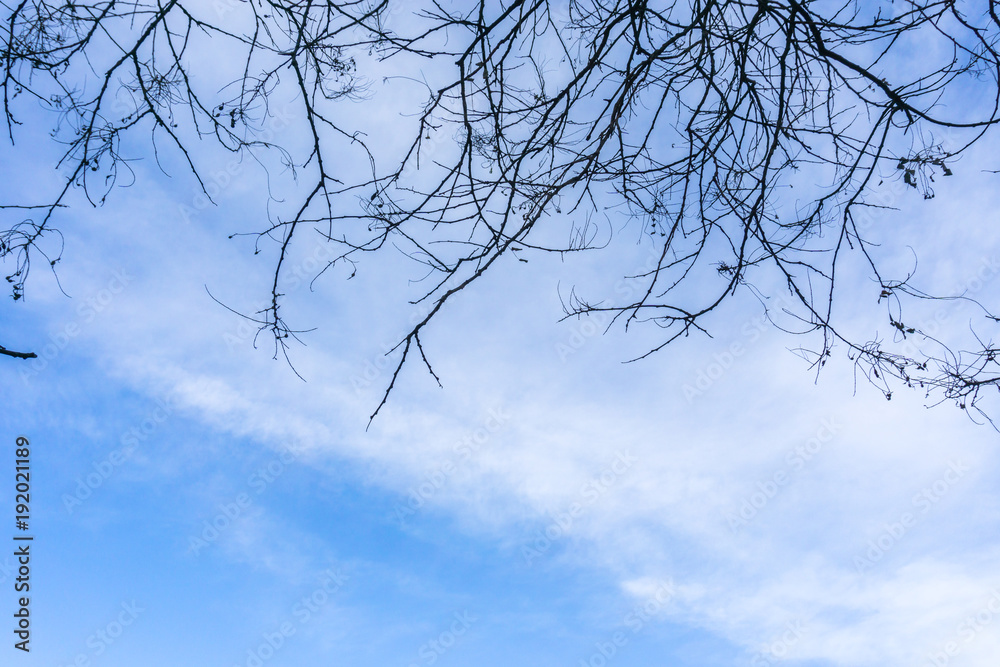 blue sky with cloud