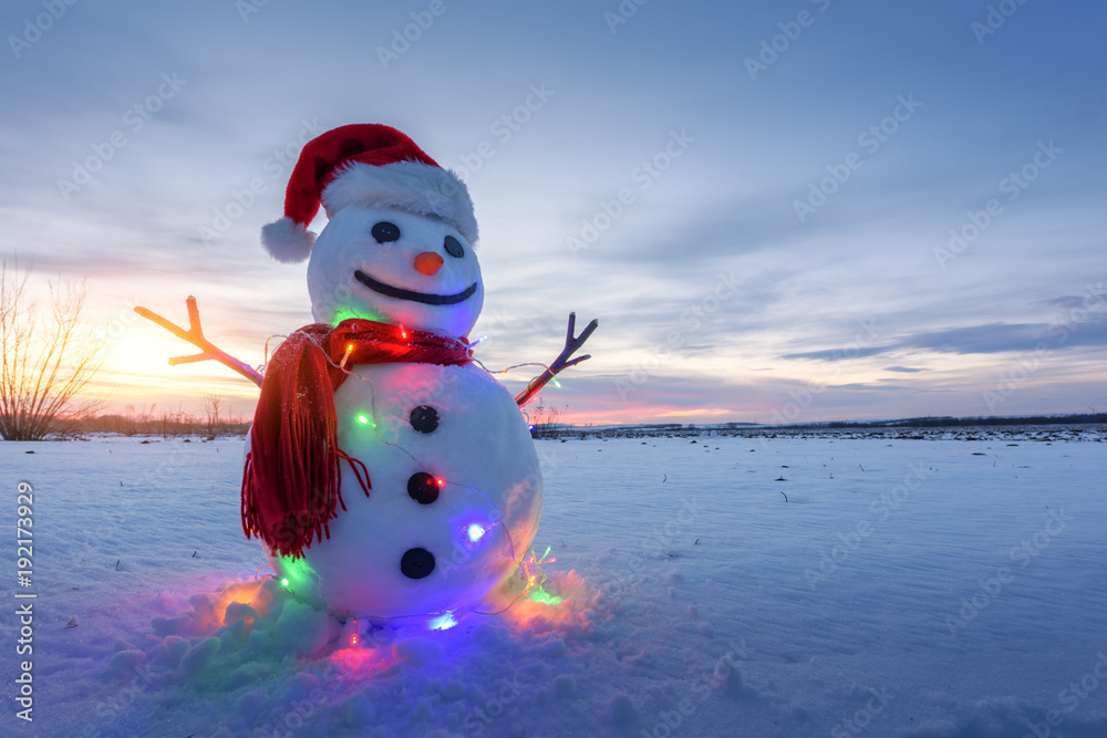 雪地上戴着圣诞老人帽、红色鳞片和发光的彩色led电花环的有趣雪人。Merr