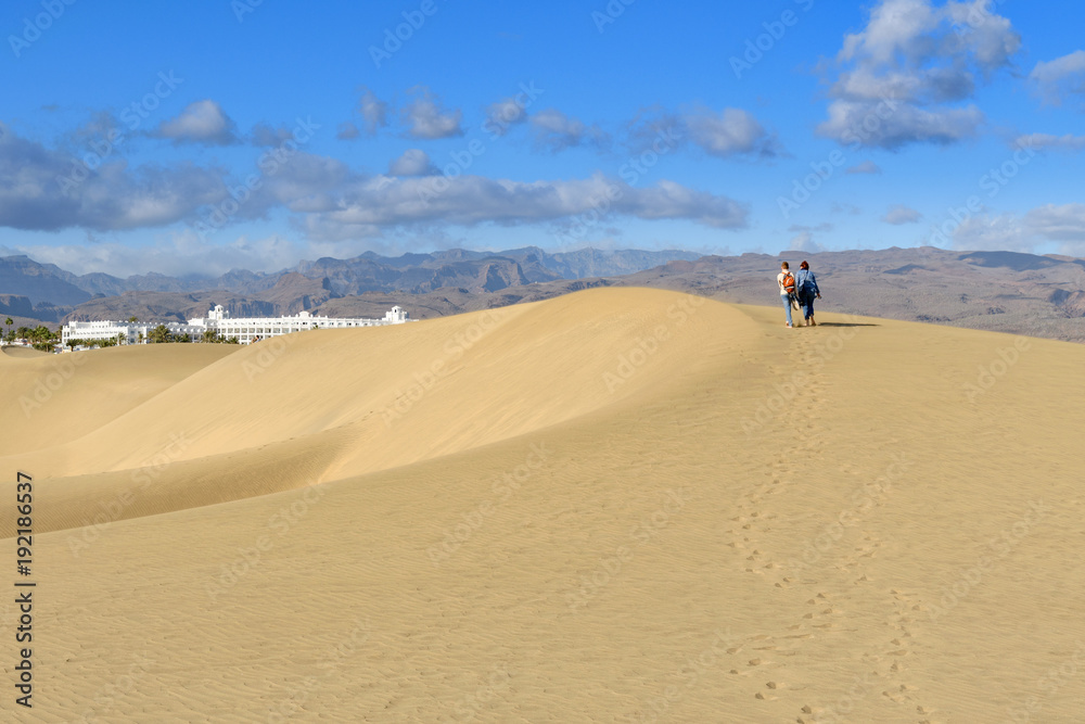 大加那利群岛Wydmy Maspalomas