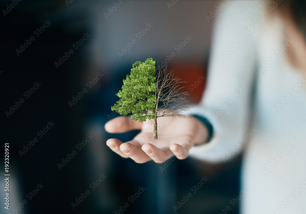 Albero in mano, vivo e morto, concetto ecologia