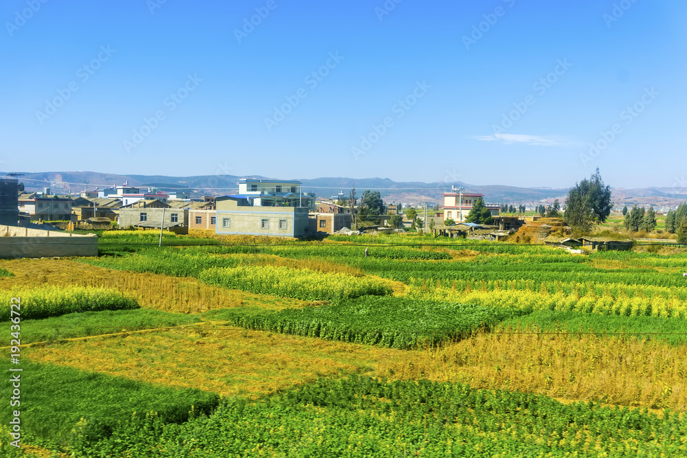 农田古村落