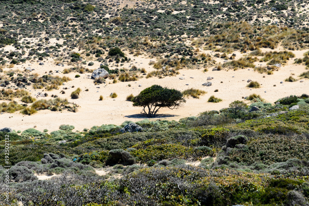 Zatoka Balos, Kreta, Grercja