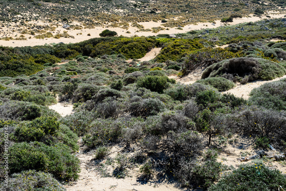 Zatoka Balos, Kreta, Grercja