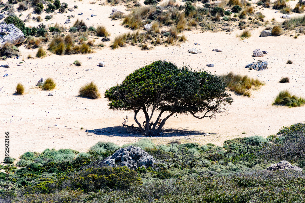 Zatoka Balos, Kreta, Grercja