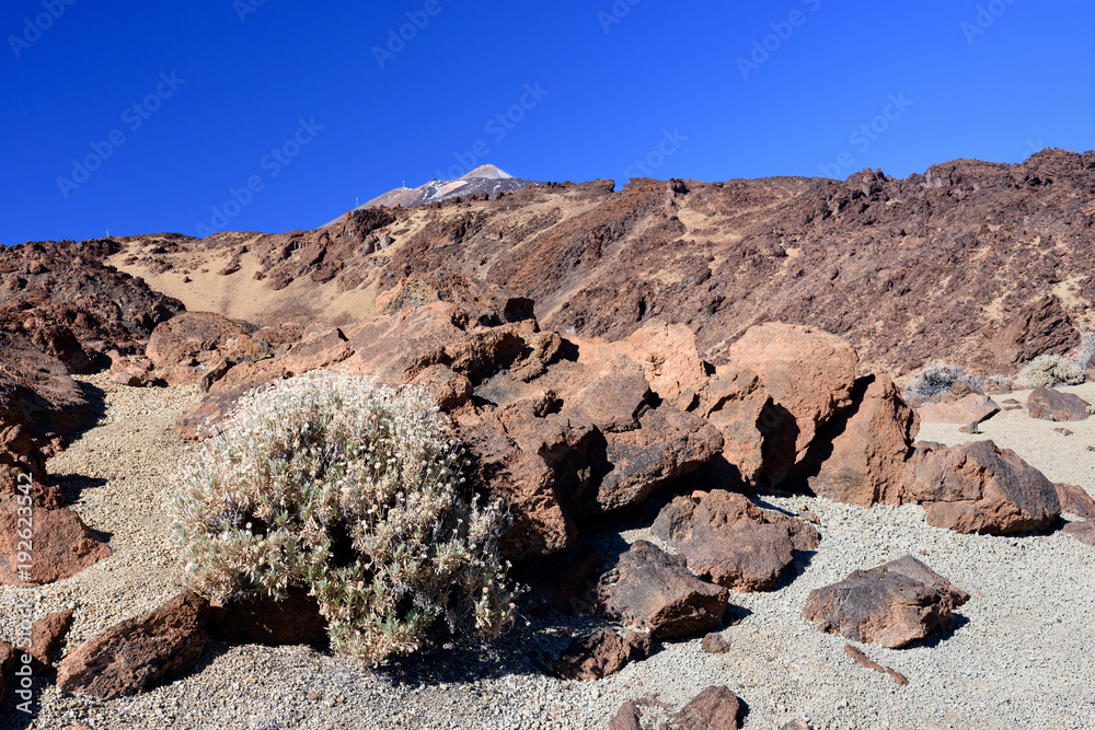 Wulkan Teide, Teneryfa, Wyspy Kanaryjskie