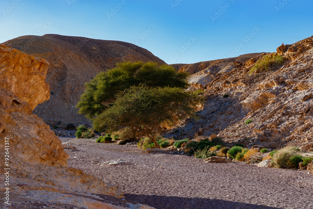 Red Canyon, Ejlat, Izrael