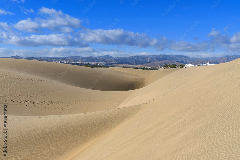 大加那利群岛Wydmy Maspalomas