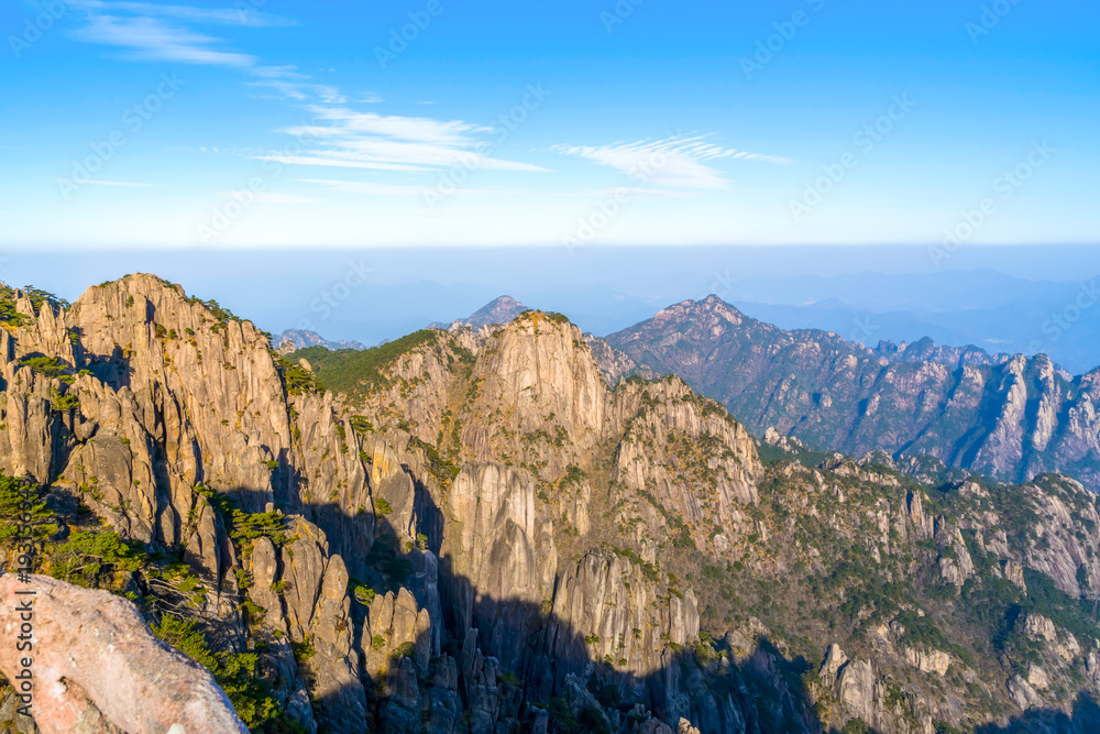 黄山山峰石松