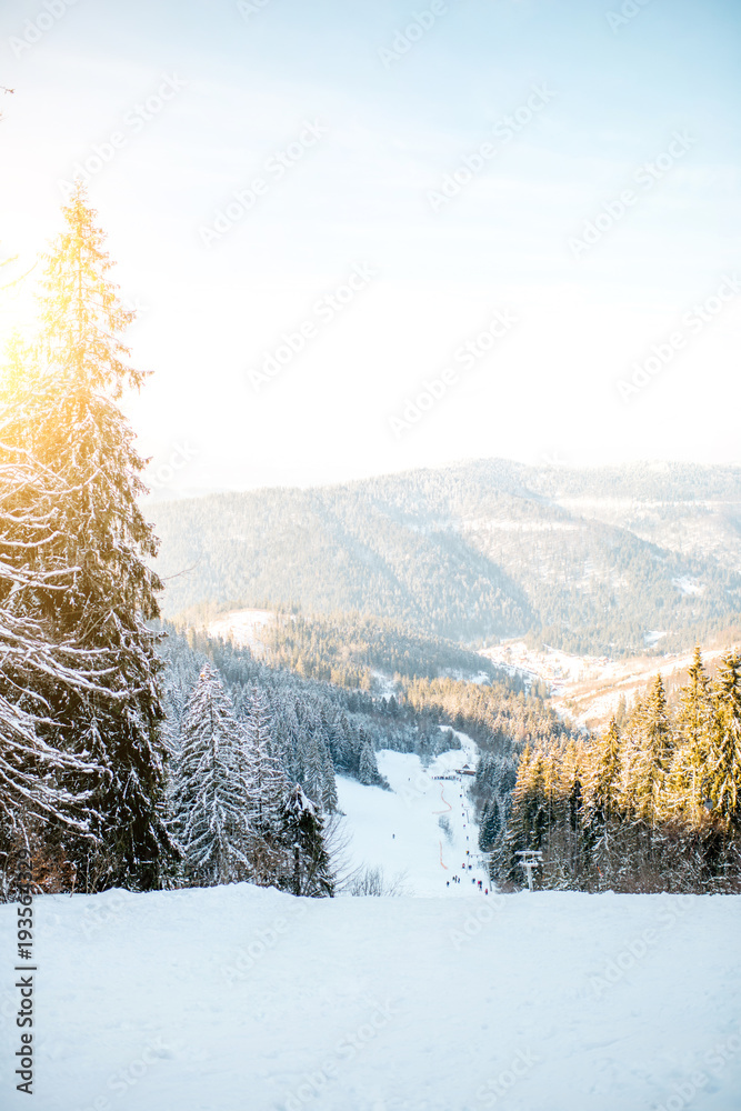 阳光明媚时，美丽的喀尔巴阡山脉上有滑雪坡和冷杉林的景观