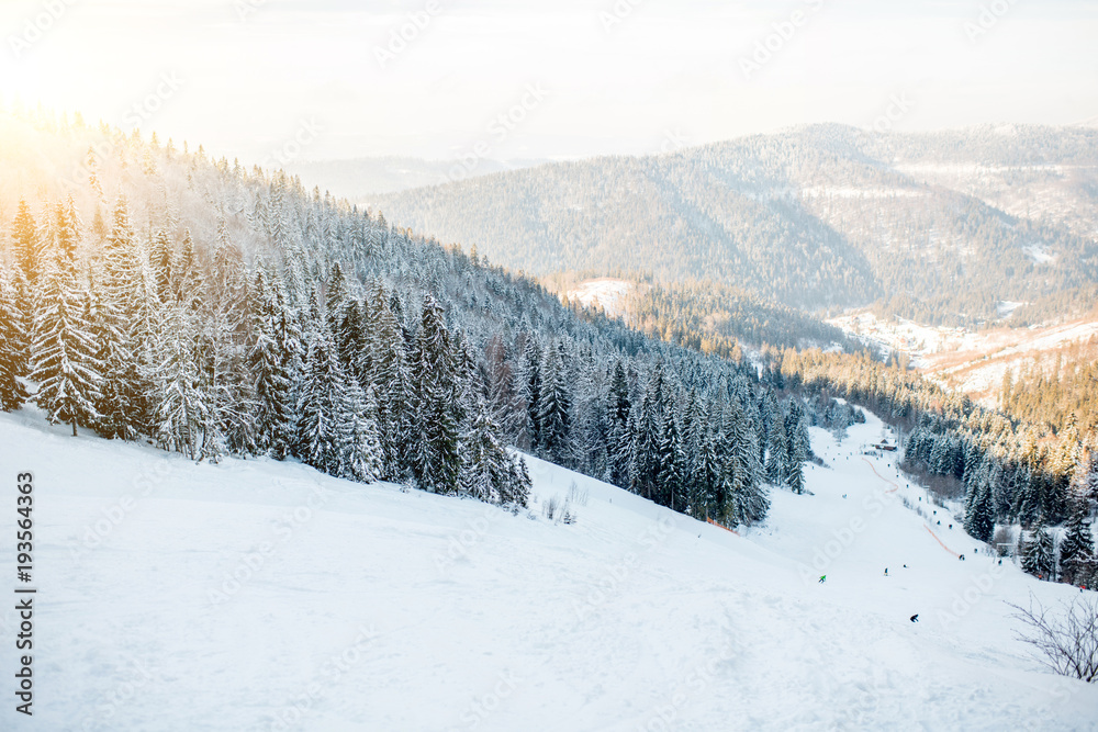 阳光明媚时，美丽的喀尔巴阡山脉上有滑雪坡和冷杉林的景观