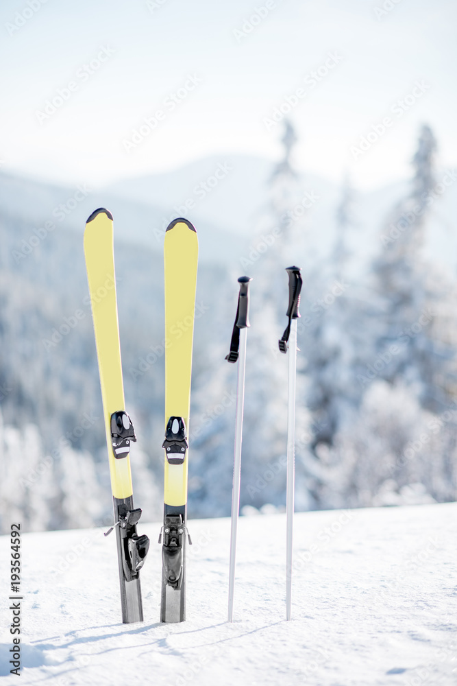 在背景是冰冻森林的雪山上用棍子滑雪