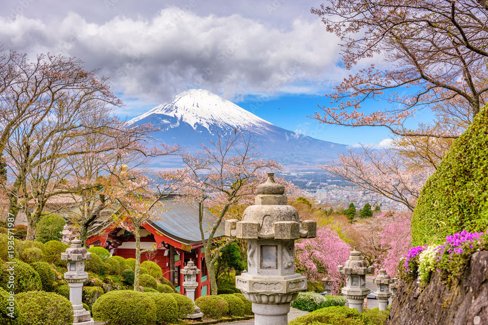 春天的富士山