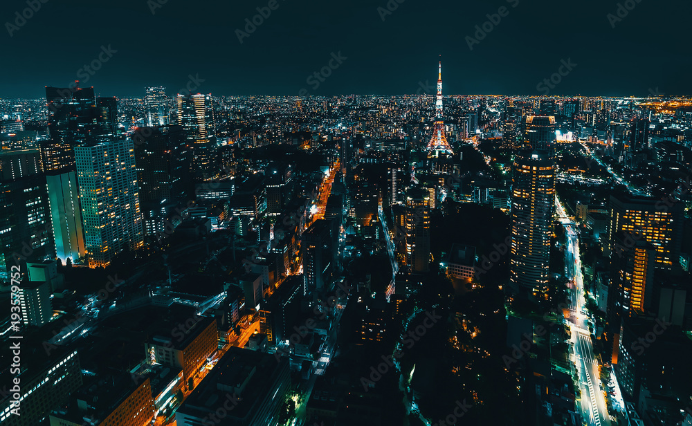 Aerial view of the Tokyo cityscape at night