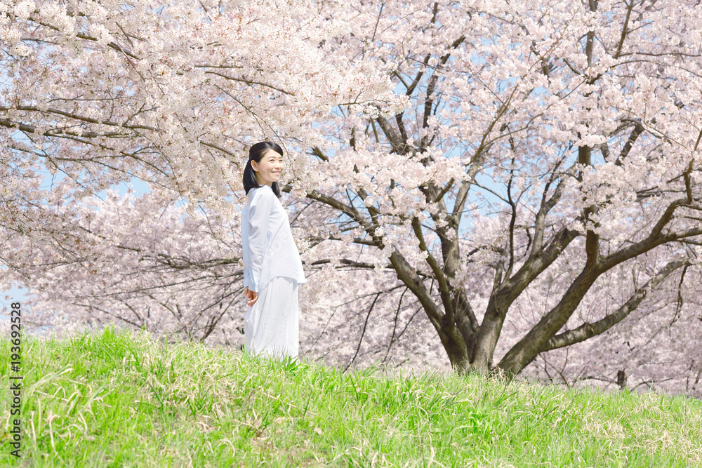 女性　桜