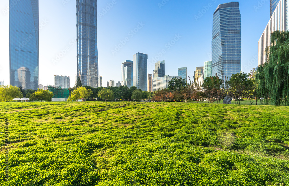 带城市景观的绿色草坪