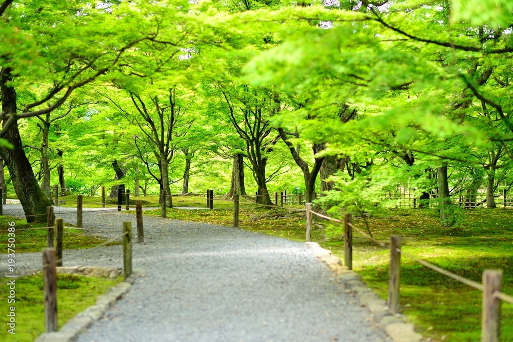 庭園の道