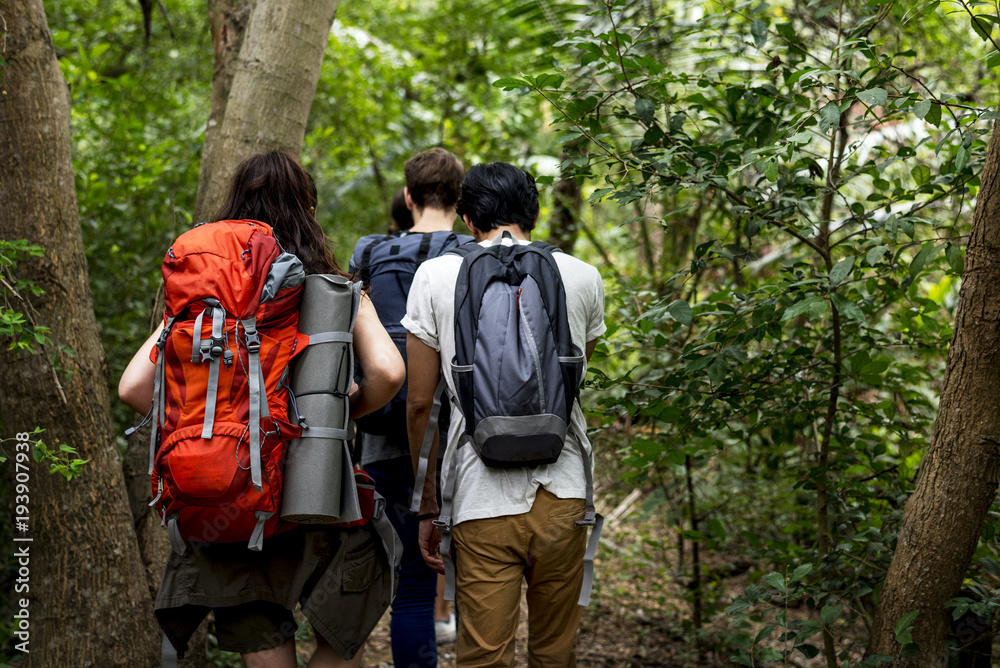 在森林里徒步旅行