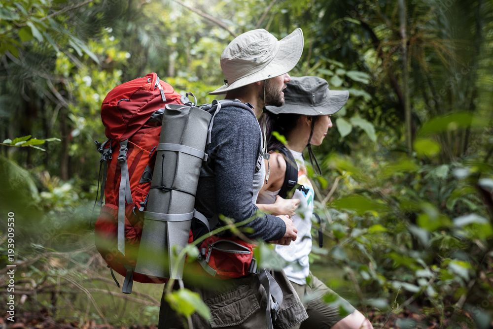 Trekking in a forest