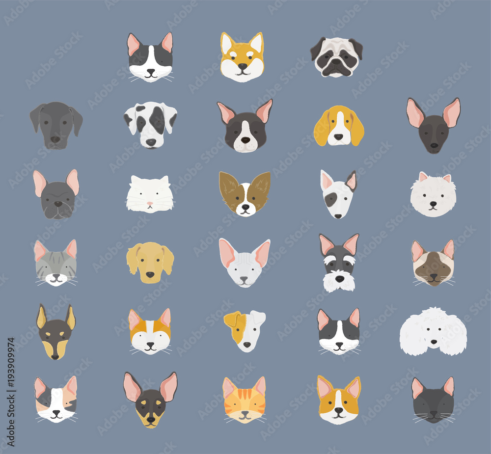 Illustration of animals set