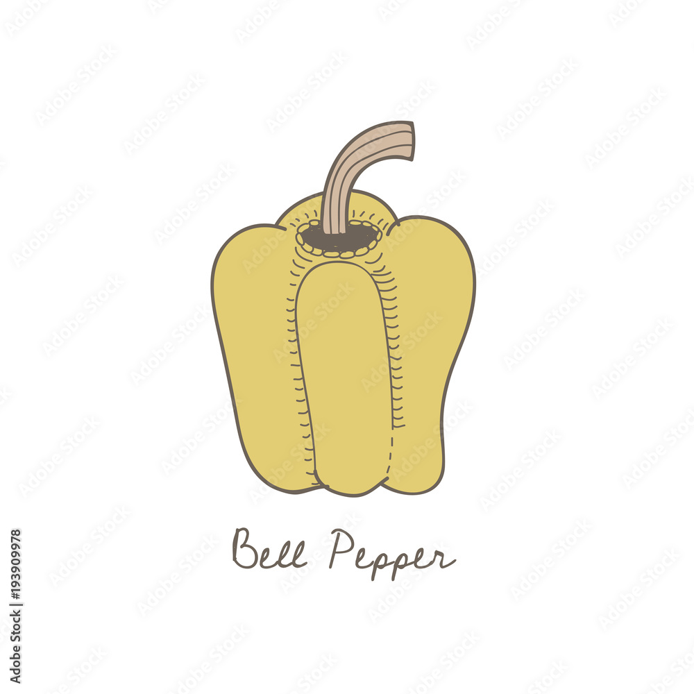 Illustration of bell pepper icon