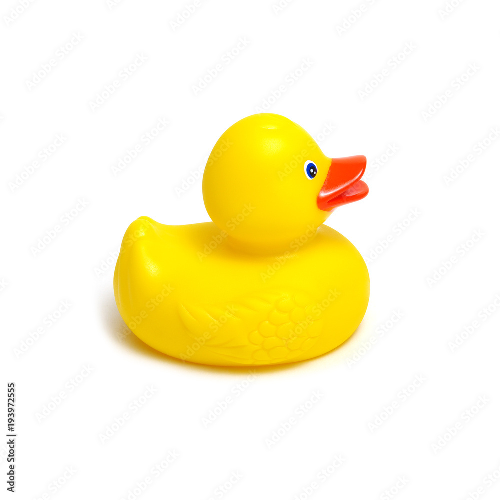 Yellow rubber duck on white