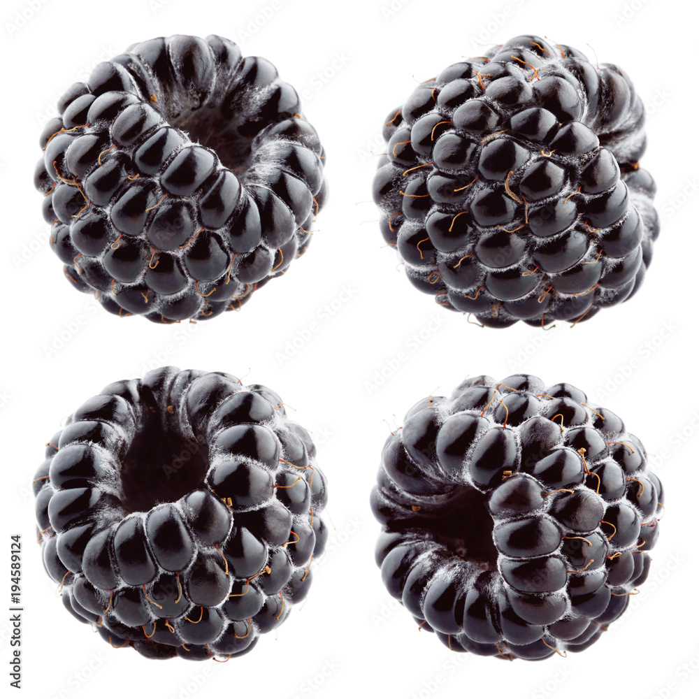 Blackberry isolated. Blackberries on white background. Collection.