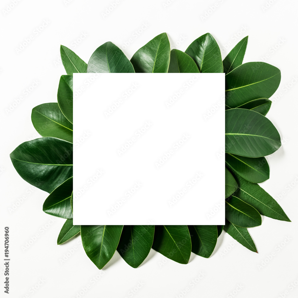 Creative layout made of leaves with paper card note. Flat lay. Nature concept.