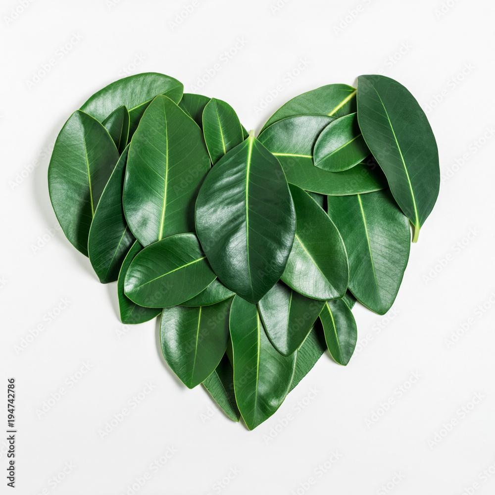 Heart shape made of green leaves. Flat lay. Nature concept.