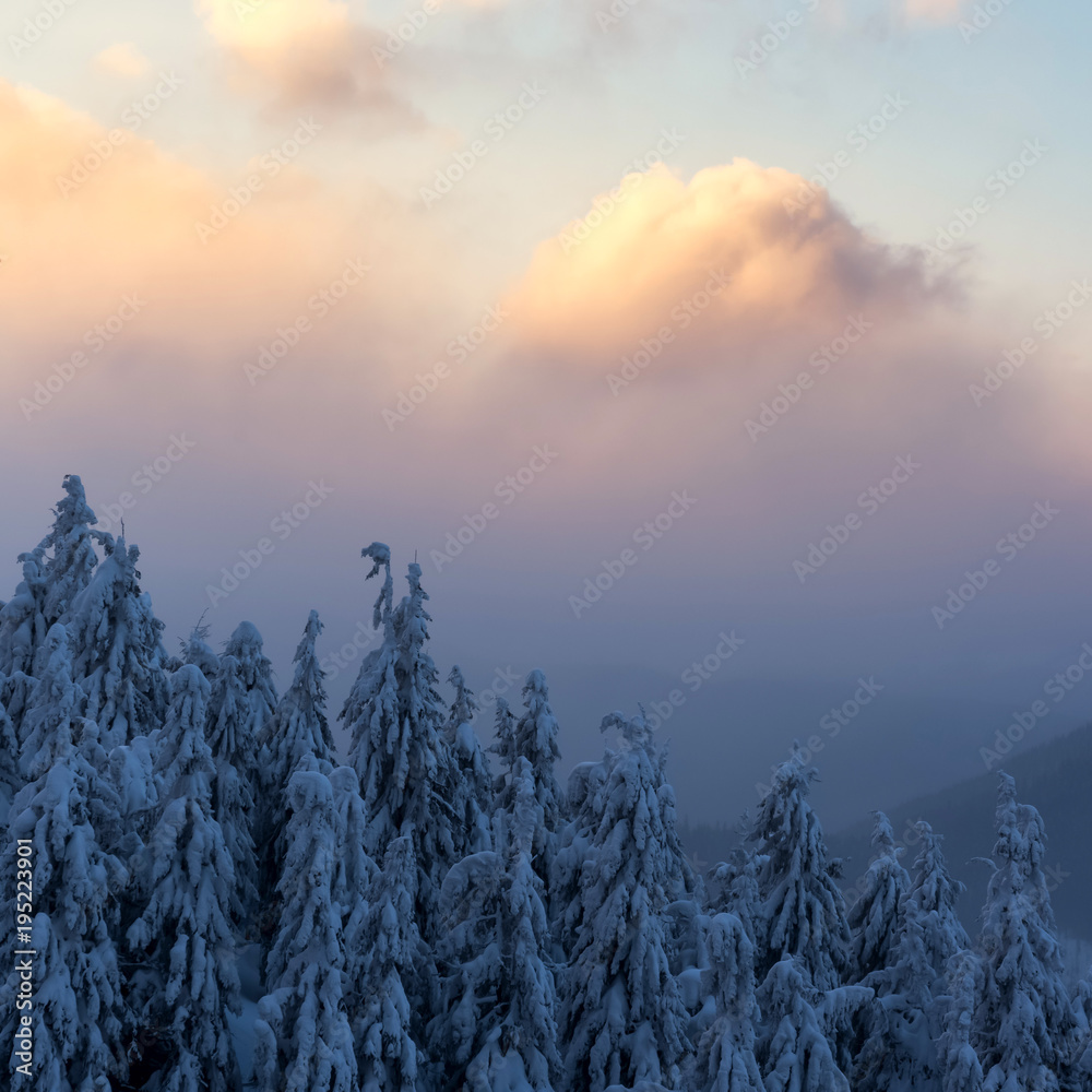 阳光照耀下的雪山中令人惊叹的橙色冬季景观
1459887730,篮球奖杯杯矢量插图平面设计