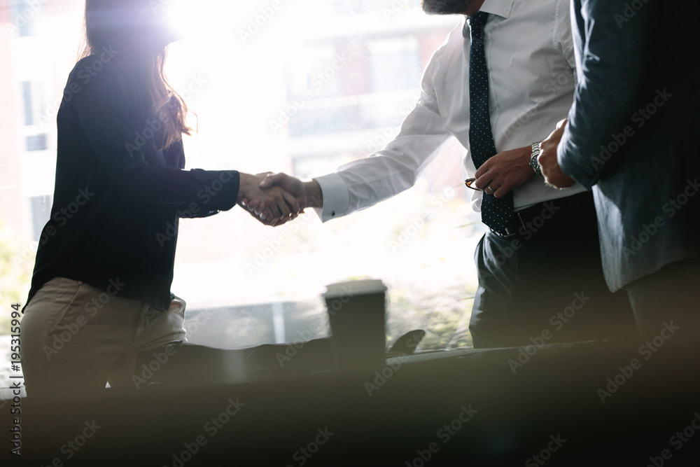 Business associates shaking hands after a deal