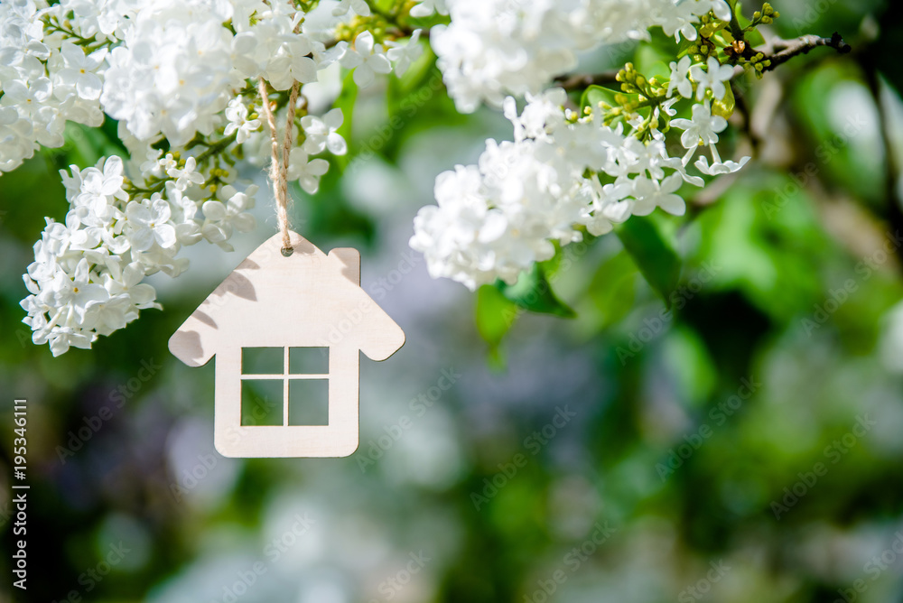     The symbol of the house among the branches of the white lilac 