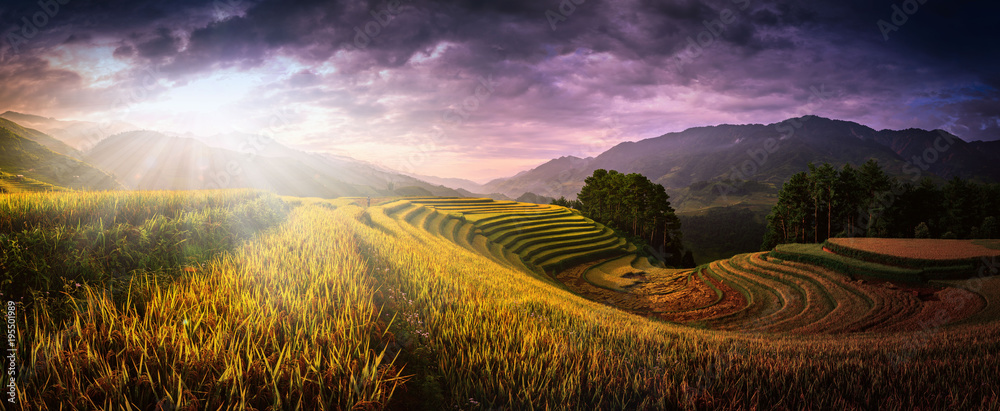 Rice fields on terraced with wooden pavilion at sunset in Mu Cang Chai, YenBai, Vietnam.